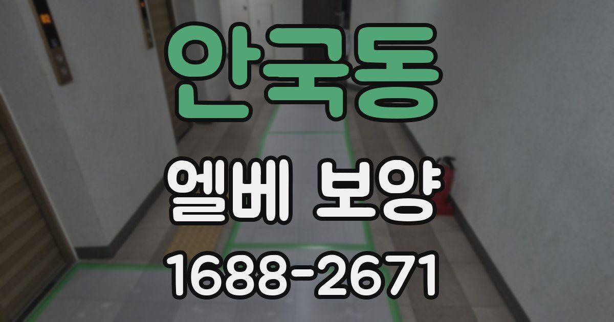 안국동 엘베 보양