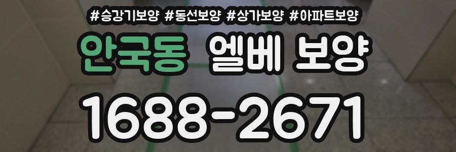 안국동 엘베 보양
