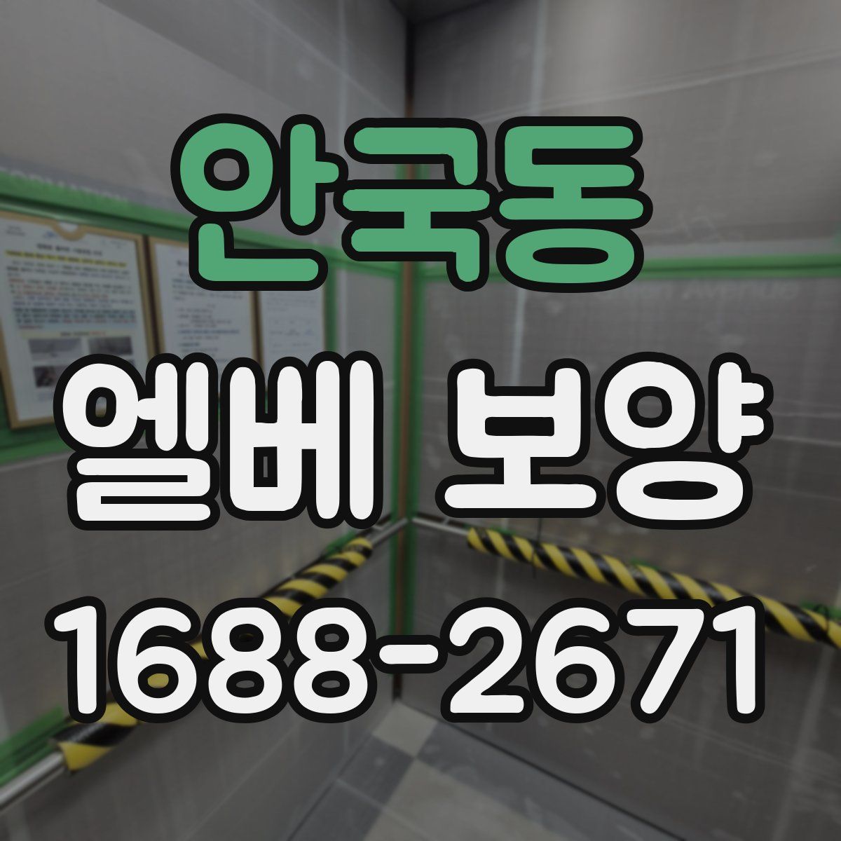 안국동 엘베 보양