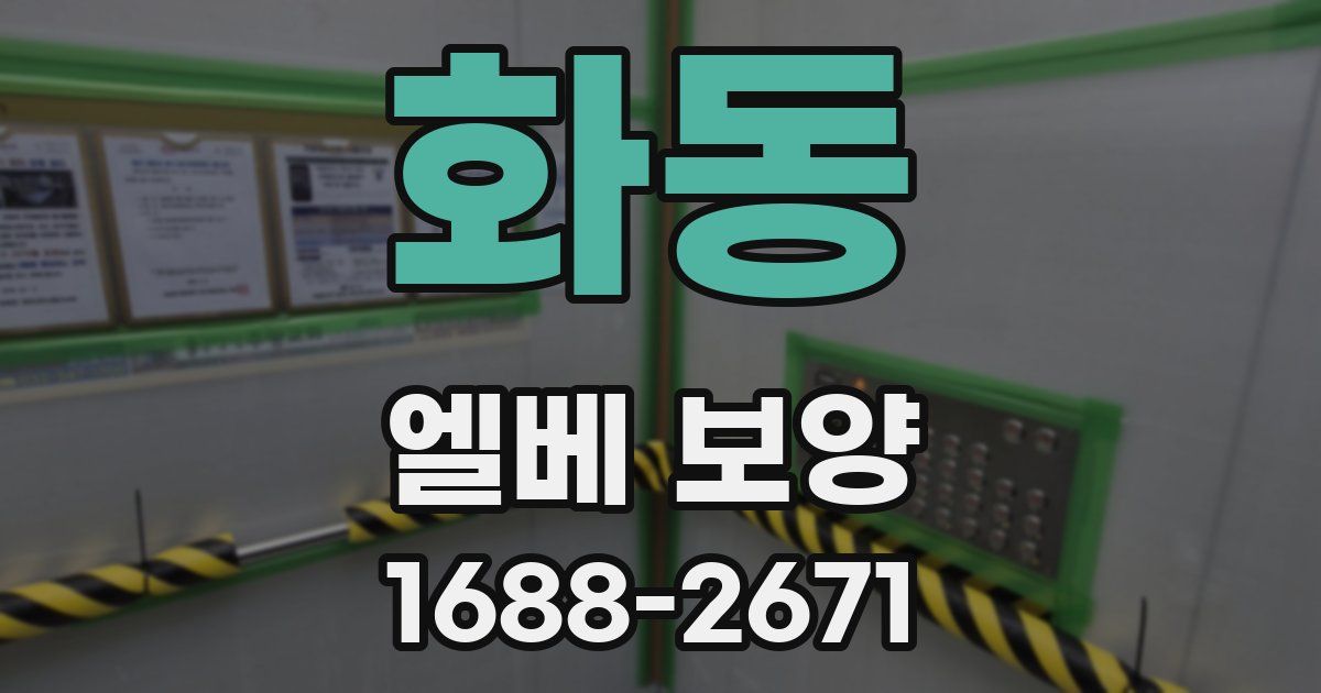 화동 엘베 보양
