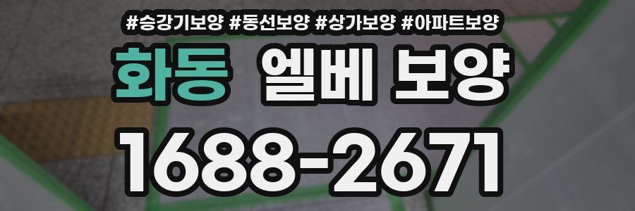 화동 엘베 보양