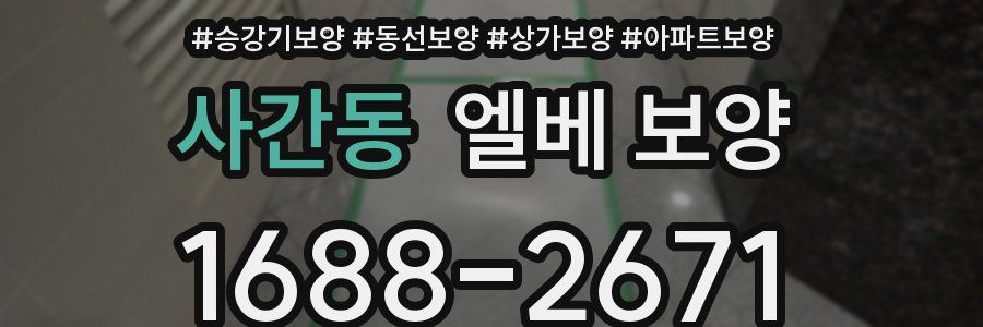 사간동 엘베 보양