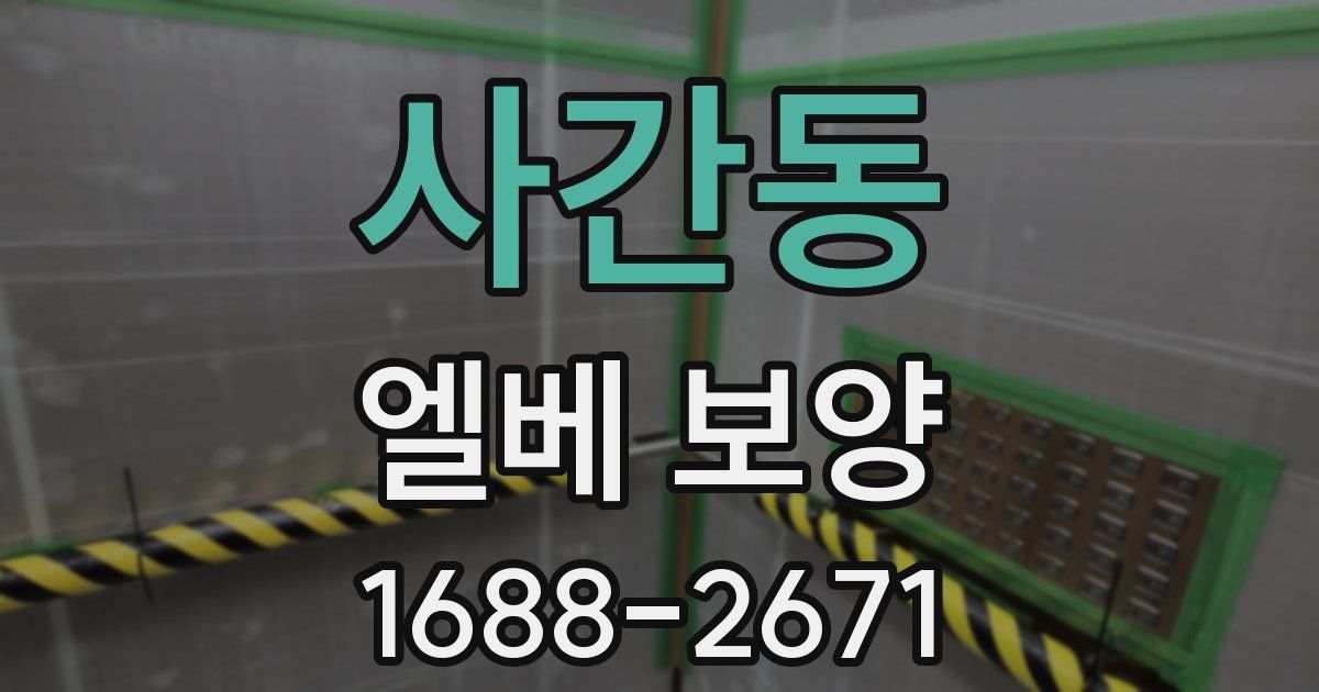 사간동 엘베 보양