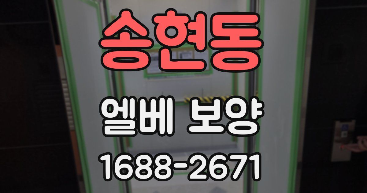송현동 엘베 보양