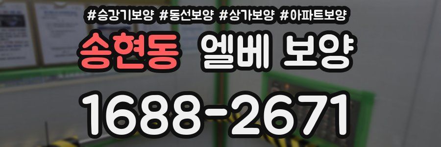 송현동 엘베 보양