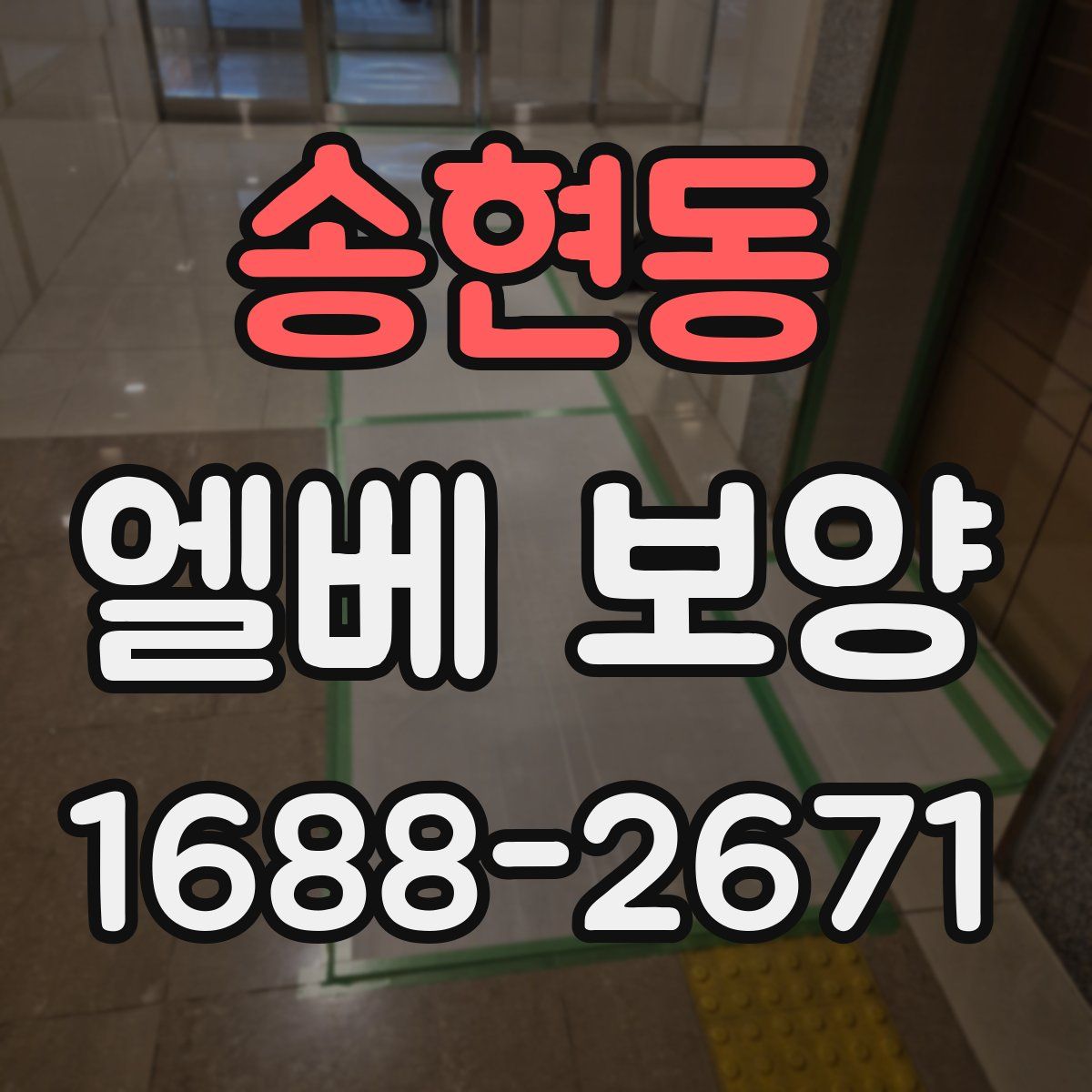 송현동 엘베 보양
