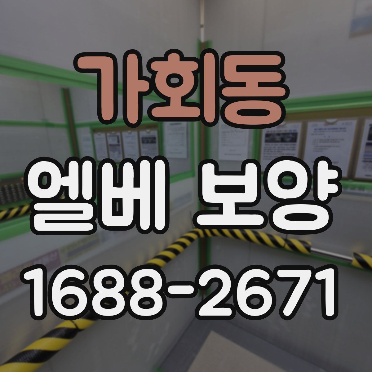 가회동 엘베 보양