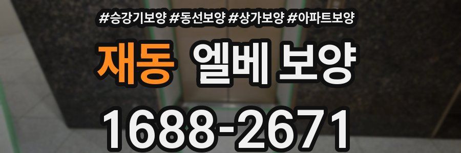 재동 엘베 보양