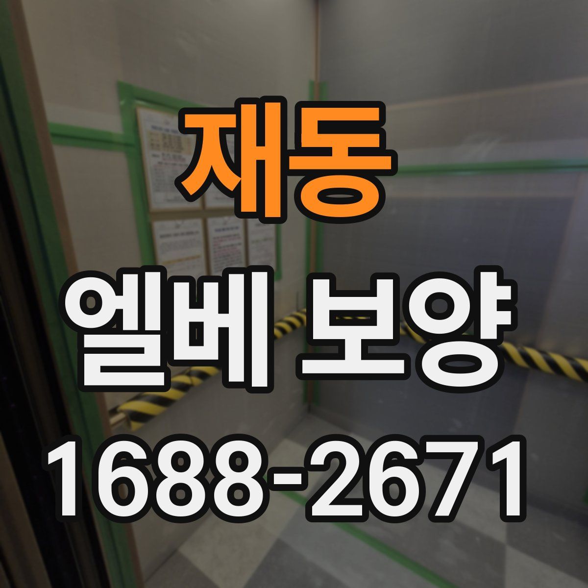 재동 엘베 보양