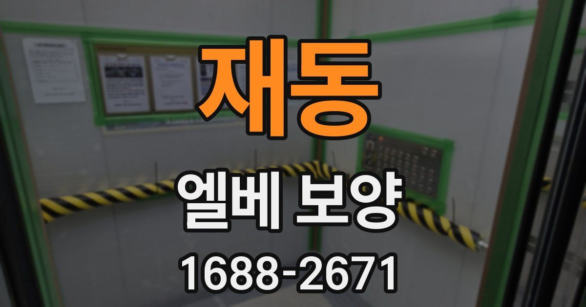 재동 엘베 보양