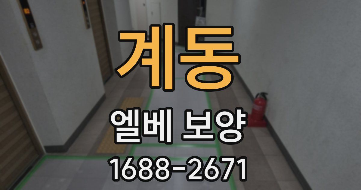 계동 엘베 보양