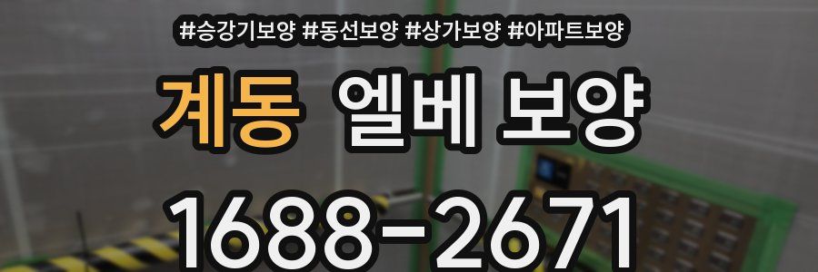 계동 엘베 보양