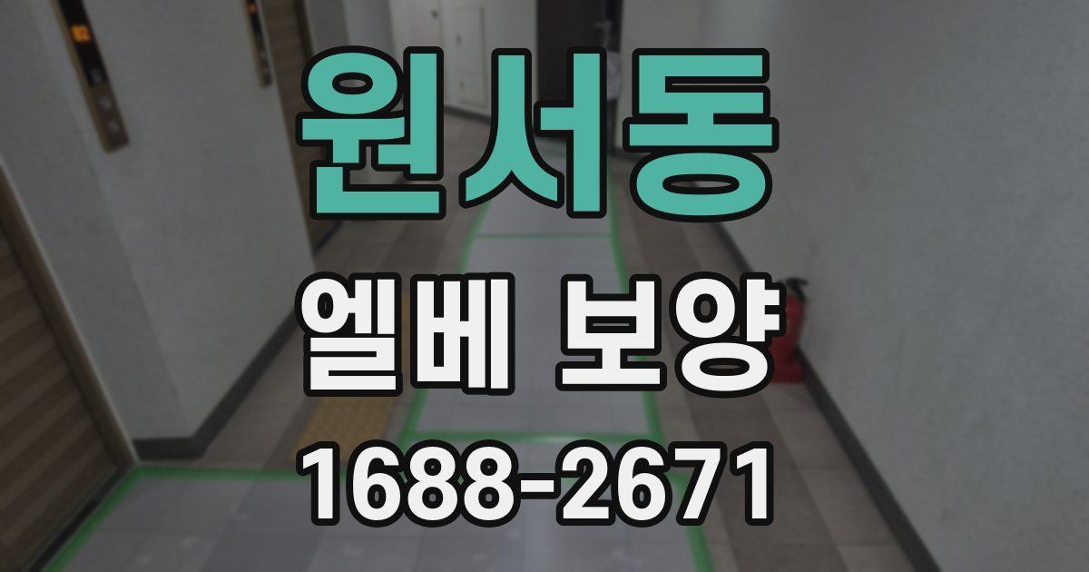 원서동 엘베 보양