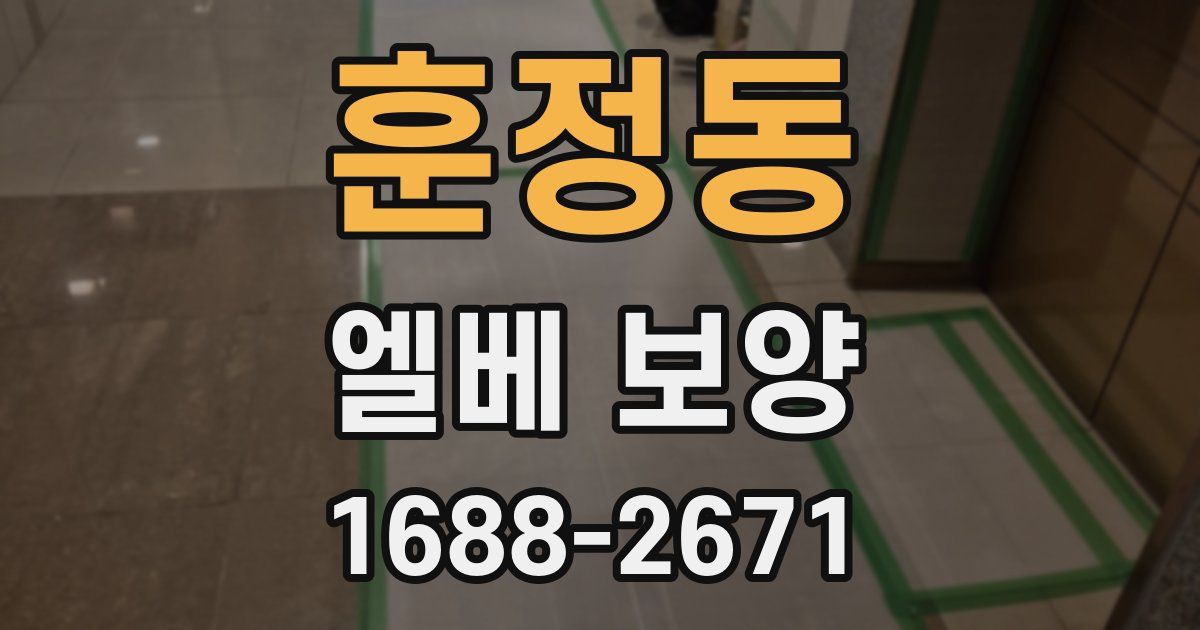 훈정동 엘베 보양