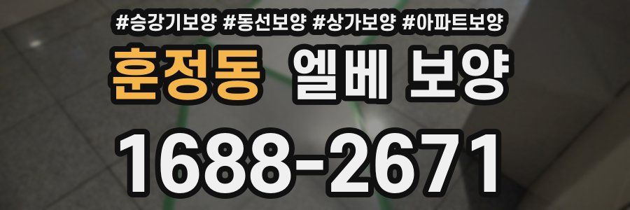 훈정동 엘베 보양