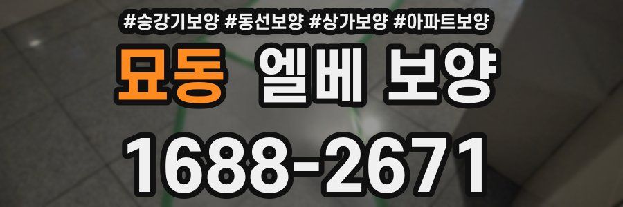 묘동 엘베 보양