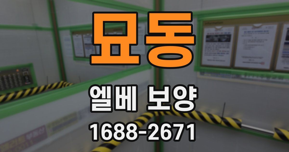 묘동 엘베 보양