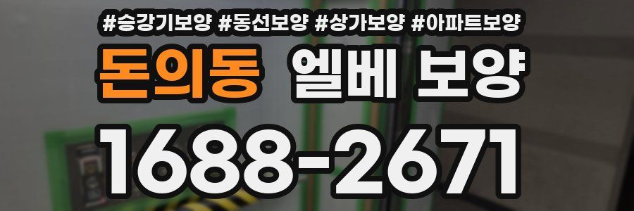 돈의동 엘베 보양