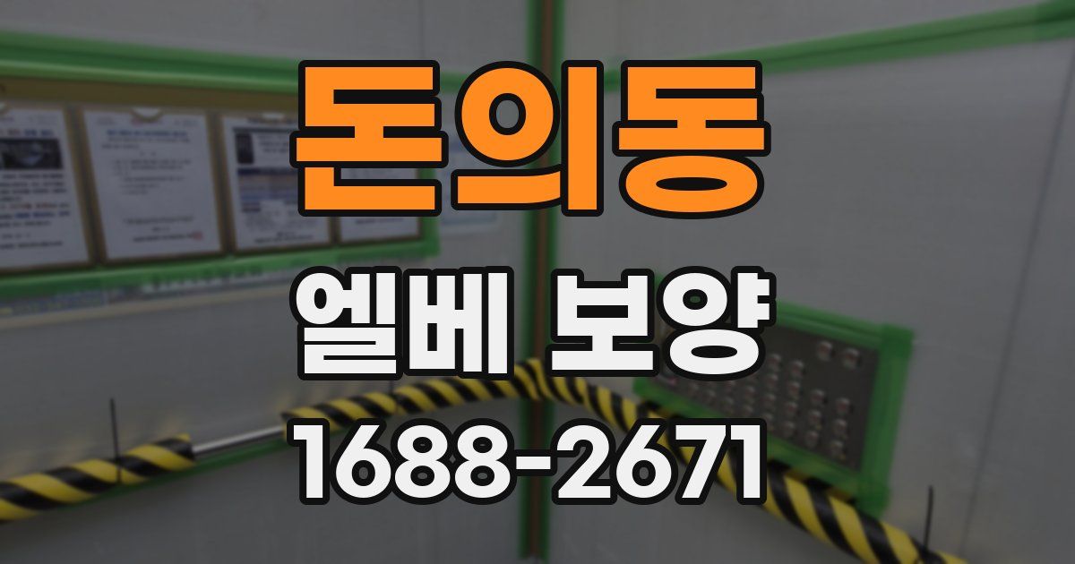 돈의동 엘베 보양