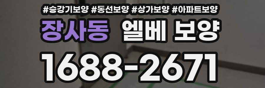 장사동 엘베 보양