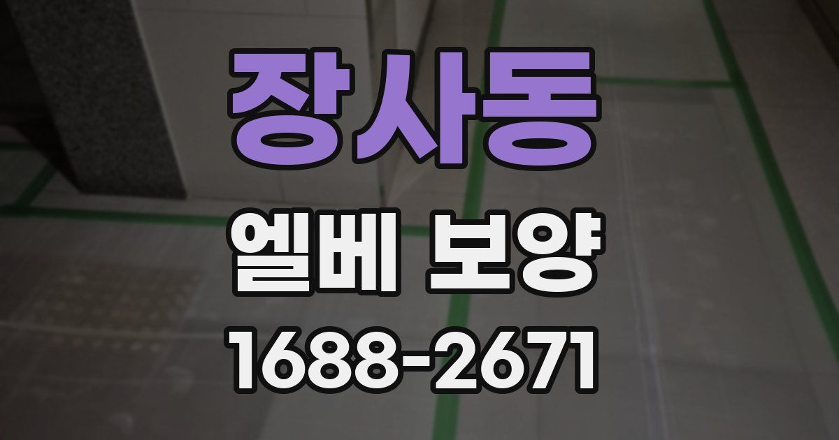 장사동 엘베 보양