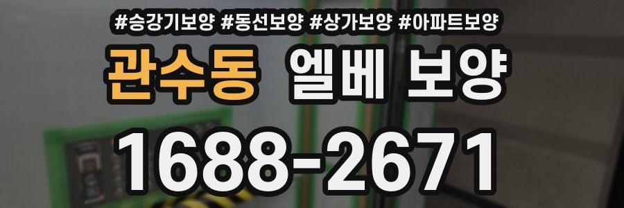 관수동 엘베 보양