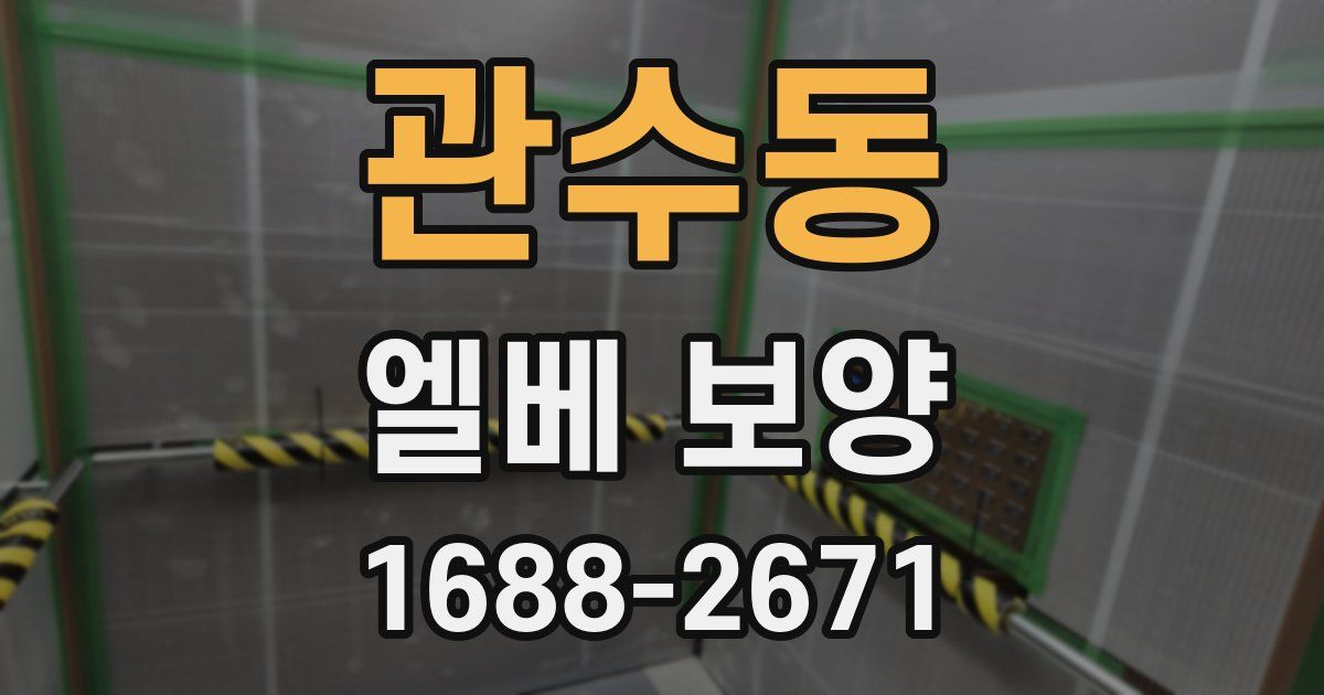 관수동 엘베 보양
