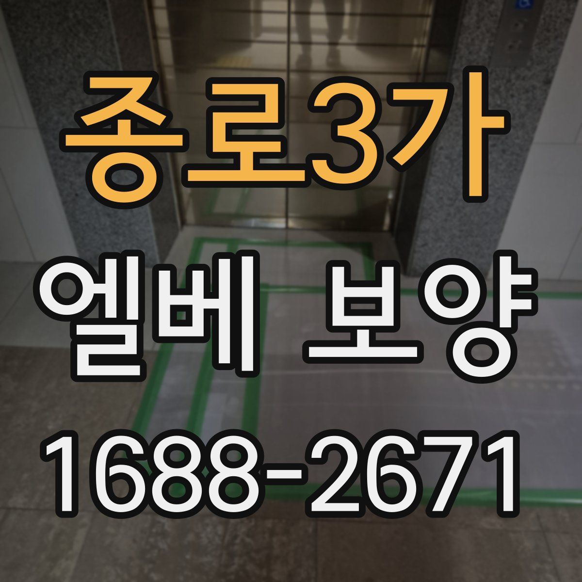 종로3가 엘베 보양