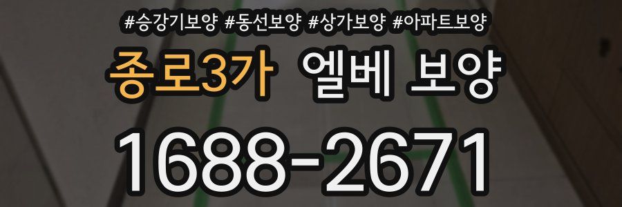 종로3가 엘베 보양