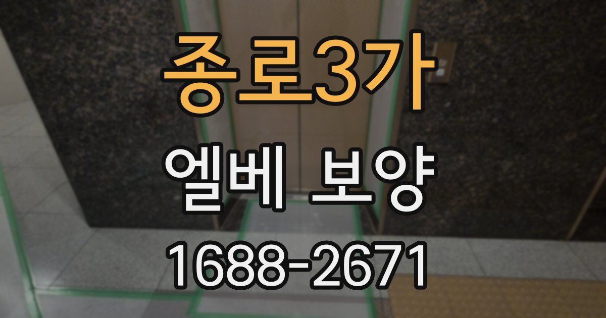 종로3가 엘베 보양