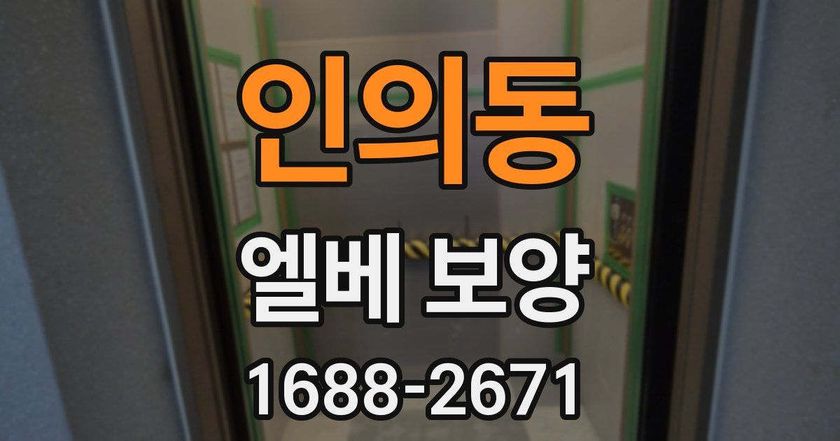 인의동 엘베 보양