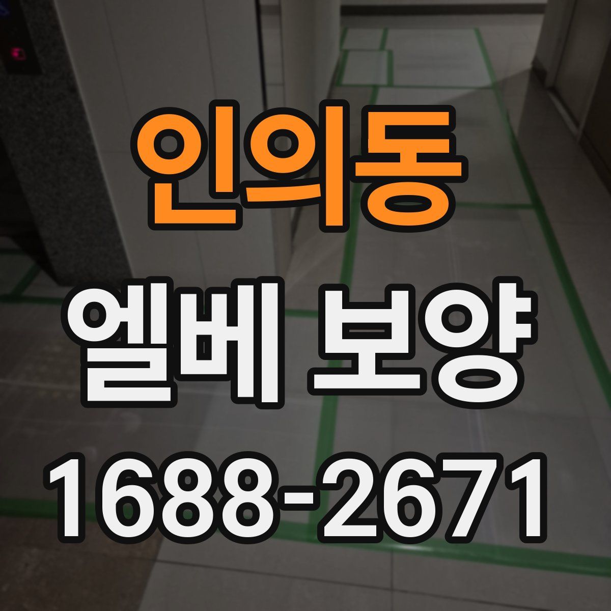 인의동 엘베 보양
