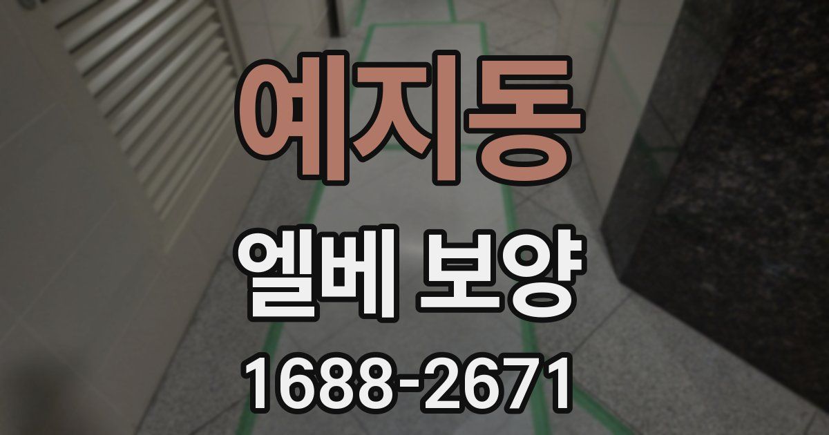 예지동 엘베 보양