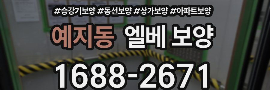 예지동 엘베 보양