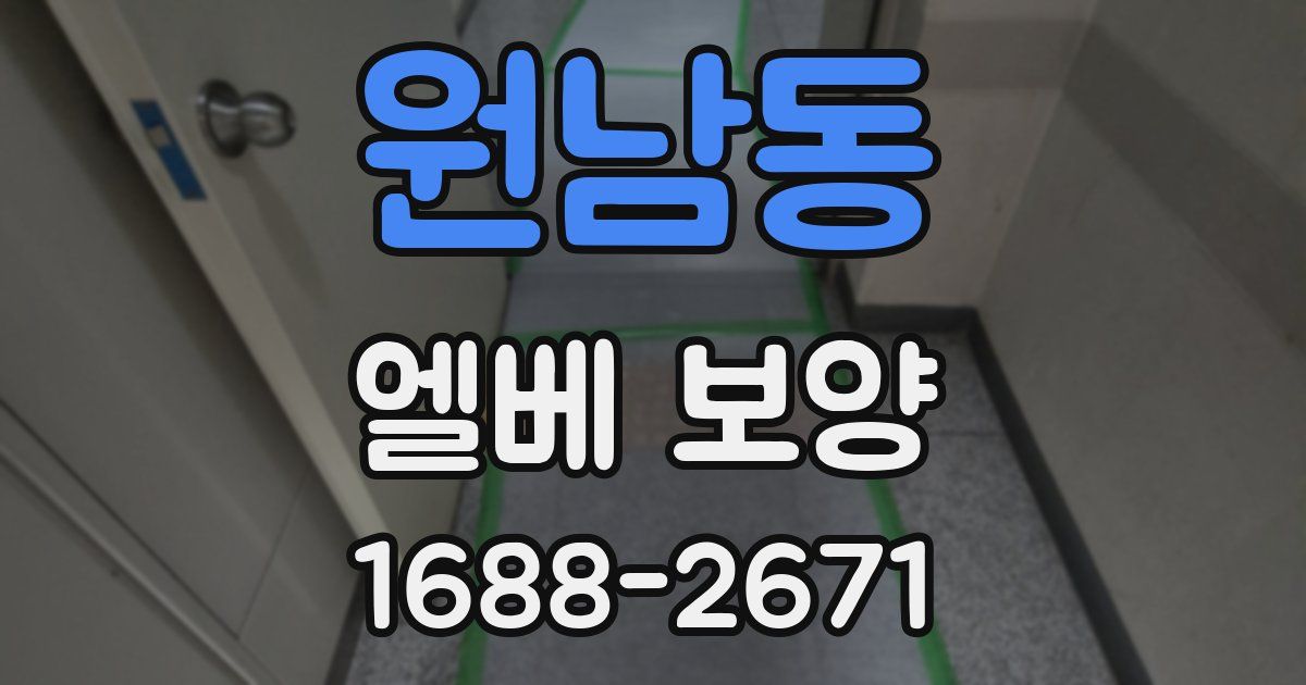 원남동 엘베 보양