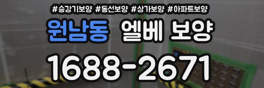 원남동 엘베 보양
