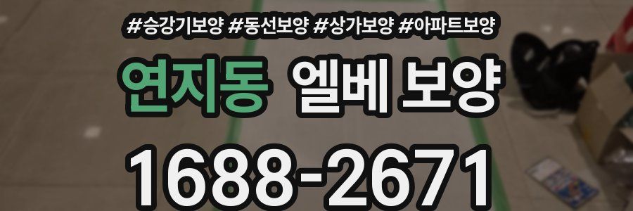 연지동 엘베 보양