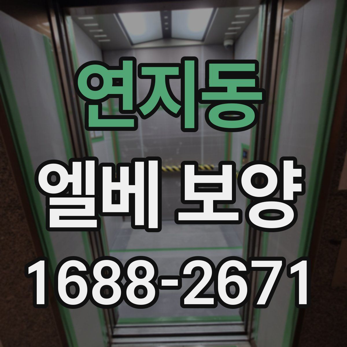 연지동 엘베 보양