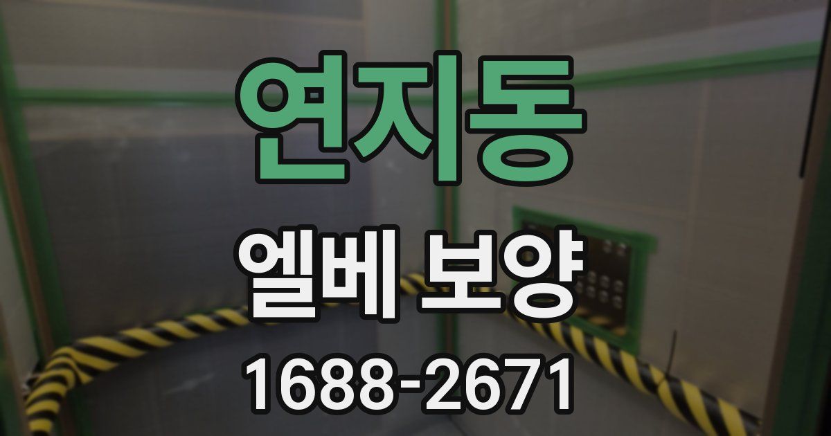연지동 엘베 보양
