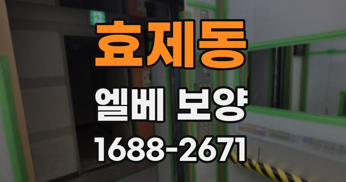 효제동 엘베 보양