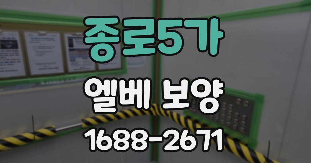 종로5가 엘베 보양