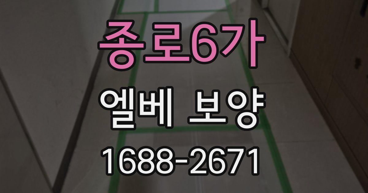 종로6가 엘베 보양