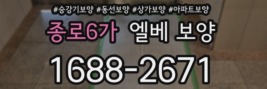 종로6가 엘베 보양