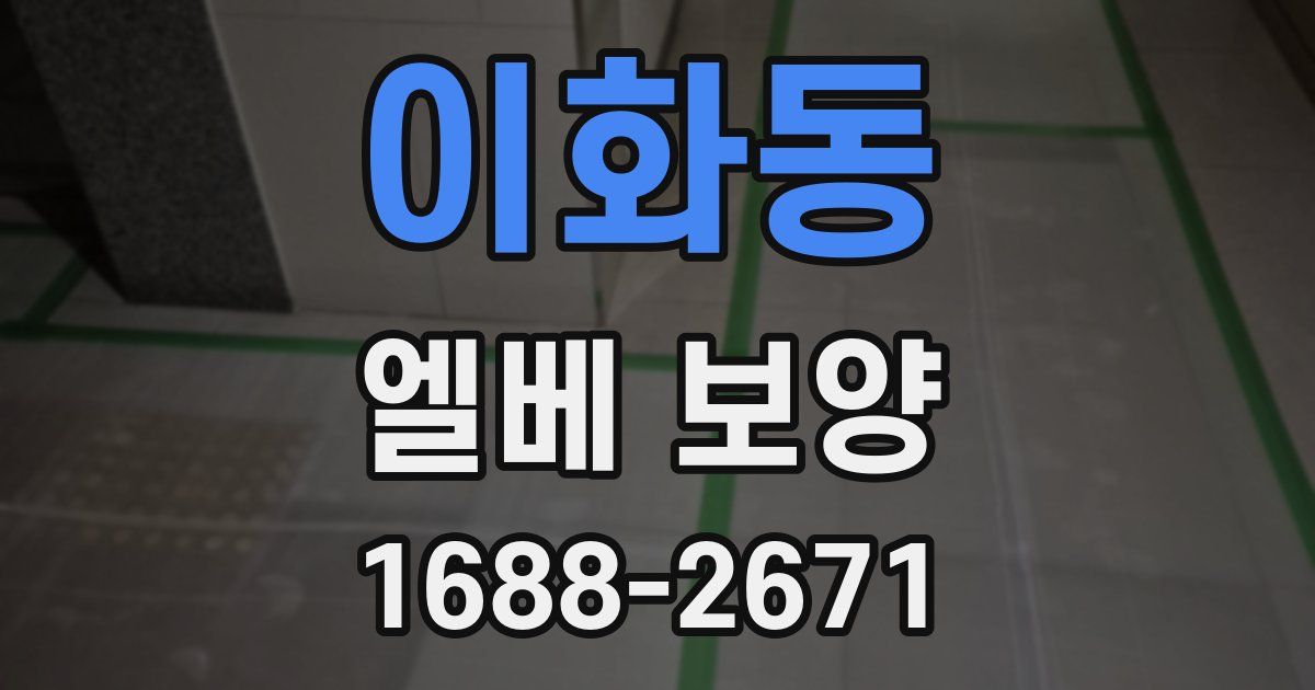 이화동 엘베 보양