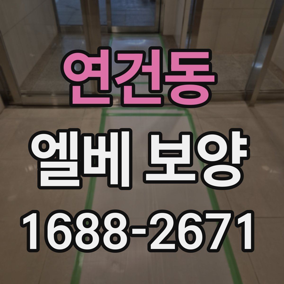 연건동 엘베 보양 엘리베이터 내부 오염원 차단 포인트
