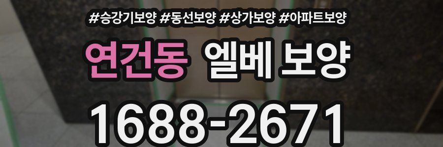 연건동 엘베 보양