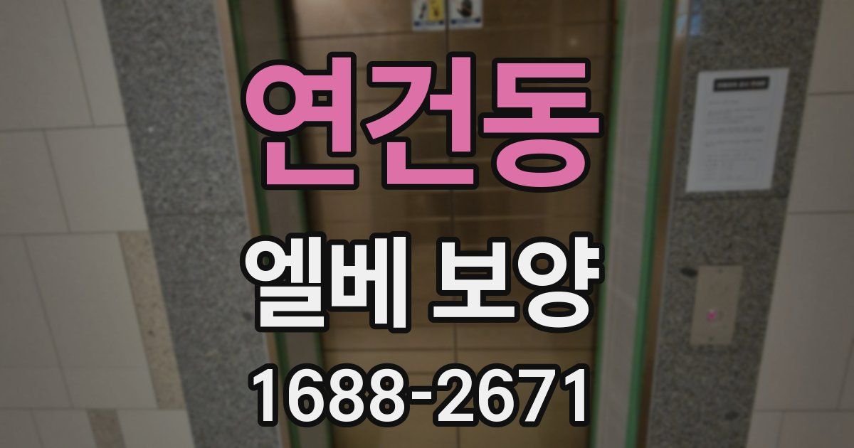 연건동 엘베 보양