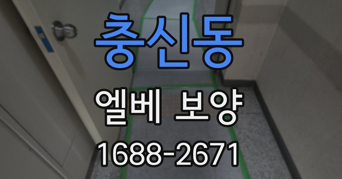 충신동 엘베 보양