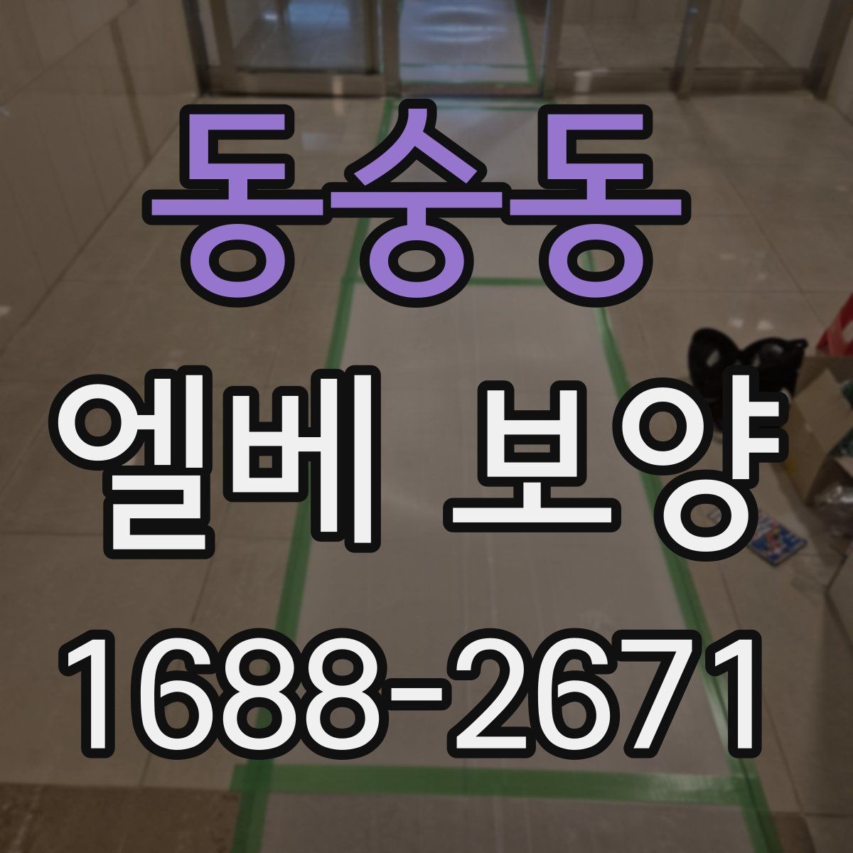 동숭동 엘베 보양 작업 전후 사진이 필요한 순간