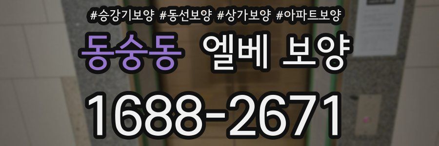 동숭동 엘베 보양